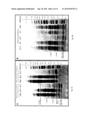 PROCESS OF AQUEOUS PROTEIN EXTRACTION FROM BRASSICACEAE OILSEEDS diagram and image