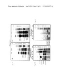 PROCESS OF AQUEOUS PROTEIN EXTRACTION FROM BRASSICACEAE OILSEEDS diagram and image