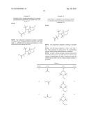 Process for the preparation of sterically hindered nitroxyl ethers diagram and image