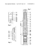 Disposable injector with dual-piston dual-chamber system diagram and image