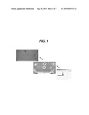 METHOD FOR MEASURING SKIN ERYTHEMA diagram and image