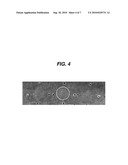 METHOD FOR MEASURING SKIN ERYTHEMA diagram and image