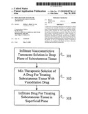 DRUG DELIVERY SYSTEM FOR ACCELERATED SUBCUTANEOUS ABSORPTION diagram and image