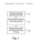 DRUG DELIVERY SYSTEM FOR ACCELERATED SUBCUTANEOUS ABSORPTION diagram and image