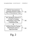 DRUG DELIVERY SYSTEM FOR ACCELERATED SUBCUTANEOUS ABSORPTION diagram and image