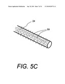 POLYMER COMPOSITES FOR BIOMEDICAL APPLICATIONS AND METHODS OF MAKING diagram and image