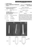 Apparatus and Methods for Visual Perception Using an Array of Nanoscale Waveguides diagram and image