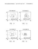 Visual Prosthesis Fitting Training and Assessment System and Method diagram and image