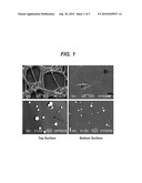 MEDICAL DEVICES WITH GALVANIC PARTICULATES diagram and image