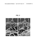 MEDICAL DEVICES WITH GALVANIC PARTICULATES diagram and image