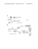 METHODS FOR ASSESSING THE DELIVERY OF EXOGENOUS AGENTS diagram and image