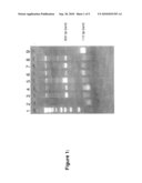 TRANSGENIC ANIMALS diagram and image