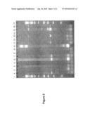 TRANSGENIC ANIMALS diagram and image