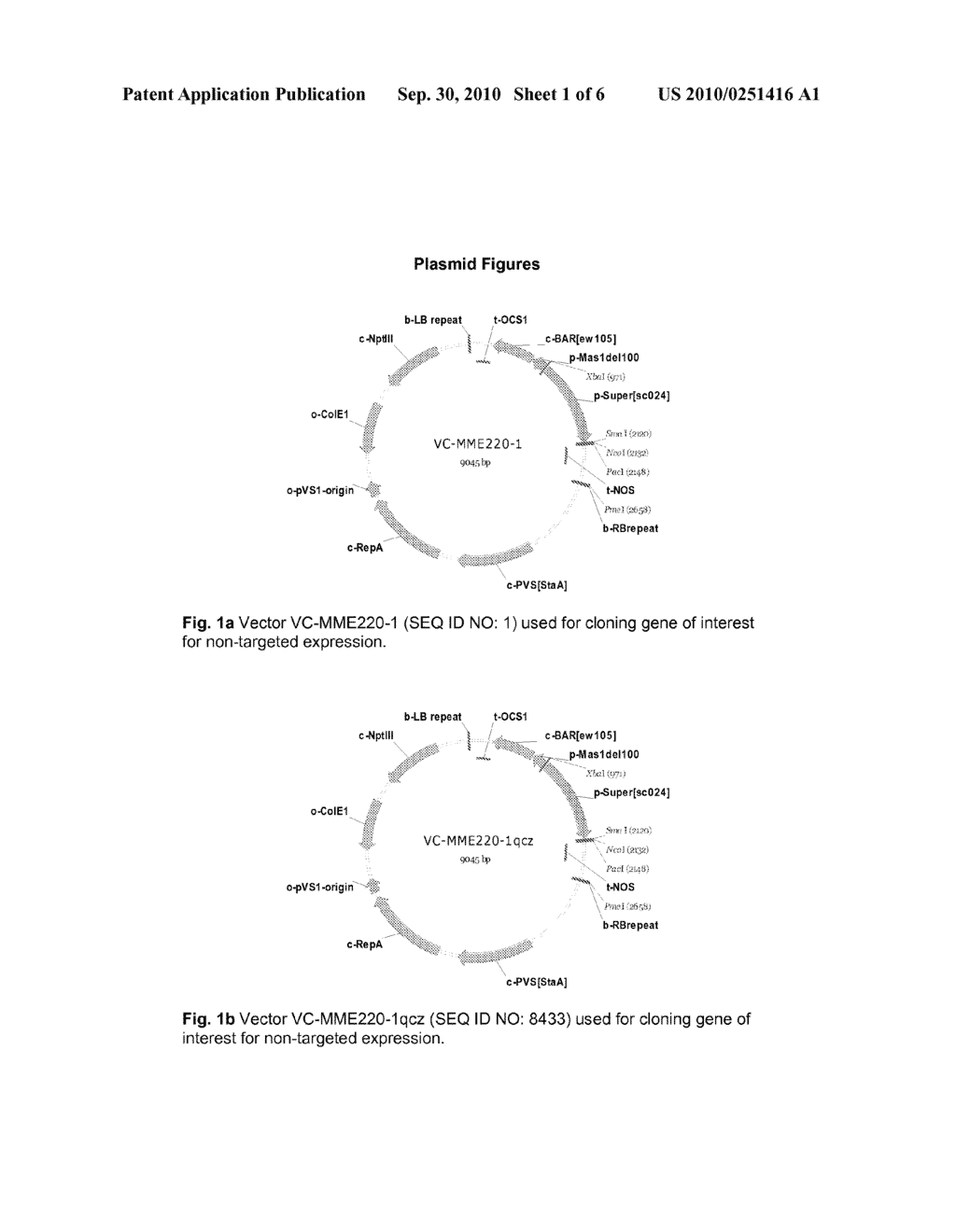 PLANTS WITH INCREASED TOLERANCE AND/OR RESISTANCE TO ENVIRONMENTAL STRESS AND INCREASED BIOMASS PRODUCTION - diagram, schematic, and image 02