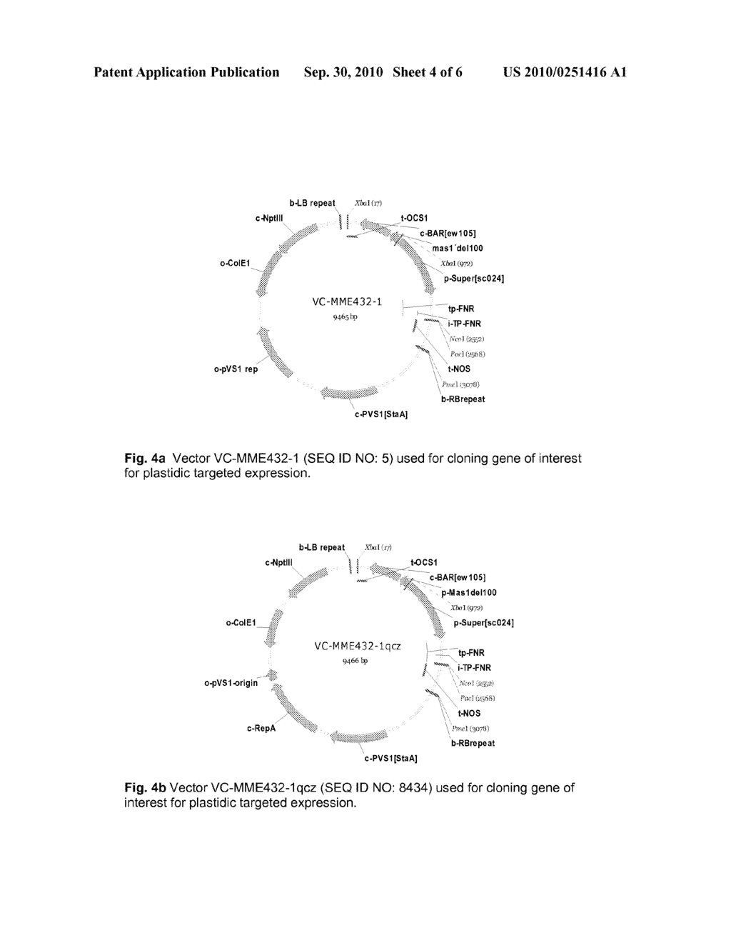 PLANTS WITH INCREASED TOLERANCE AND/OR RESISTANCE TO ENVIRONMENTAL STRESS AND INCREASED BIOMASS PRODUCTION - diagram, schematic, and image 05