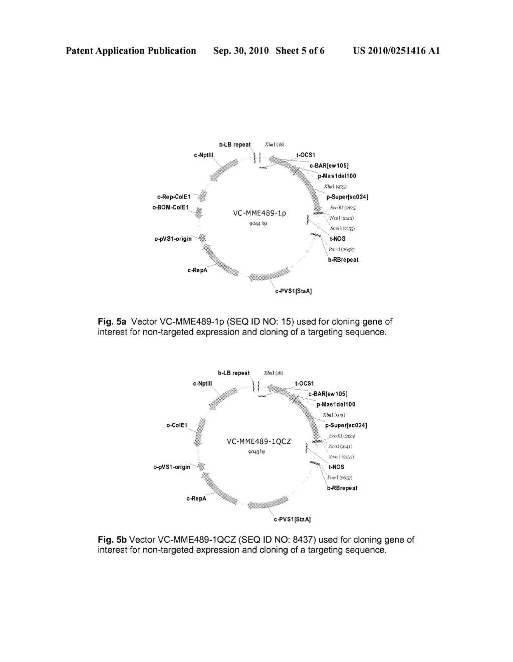 PLANTS WITH INCREASED TOLERANCE AND/OR RESISTANCE TO ENVIRONMENTAL STRESS AND INCREASED BIOMASS PRODUCTION - diagram, schematic, and image 06