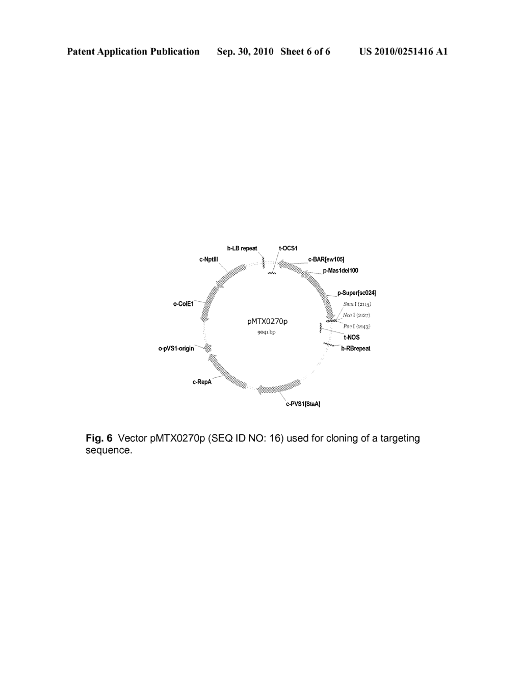 PLANTS WITH INCREASED TOLERANCE AND/OR RESISTANCE TO ENVIRONMENTAL STRESS AND INCREASED BIOMASS PRODUCTION - diagram, schematic, and image 07