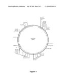 PLANT REGULATORY SEQUENCES FOR SELECTIVE CONTROL OF GENE EXPRESSION diagram and image