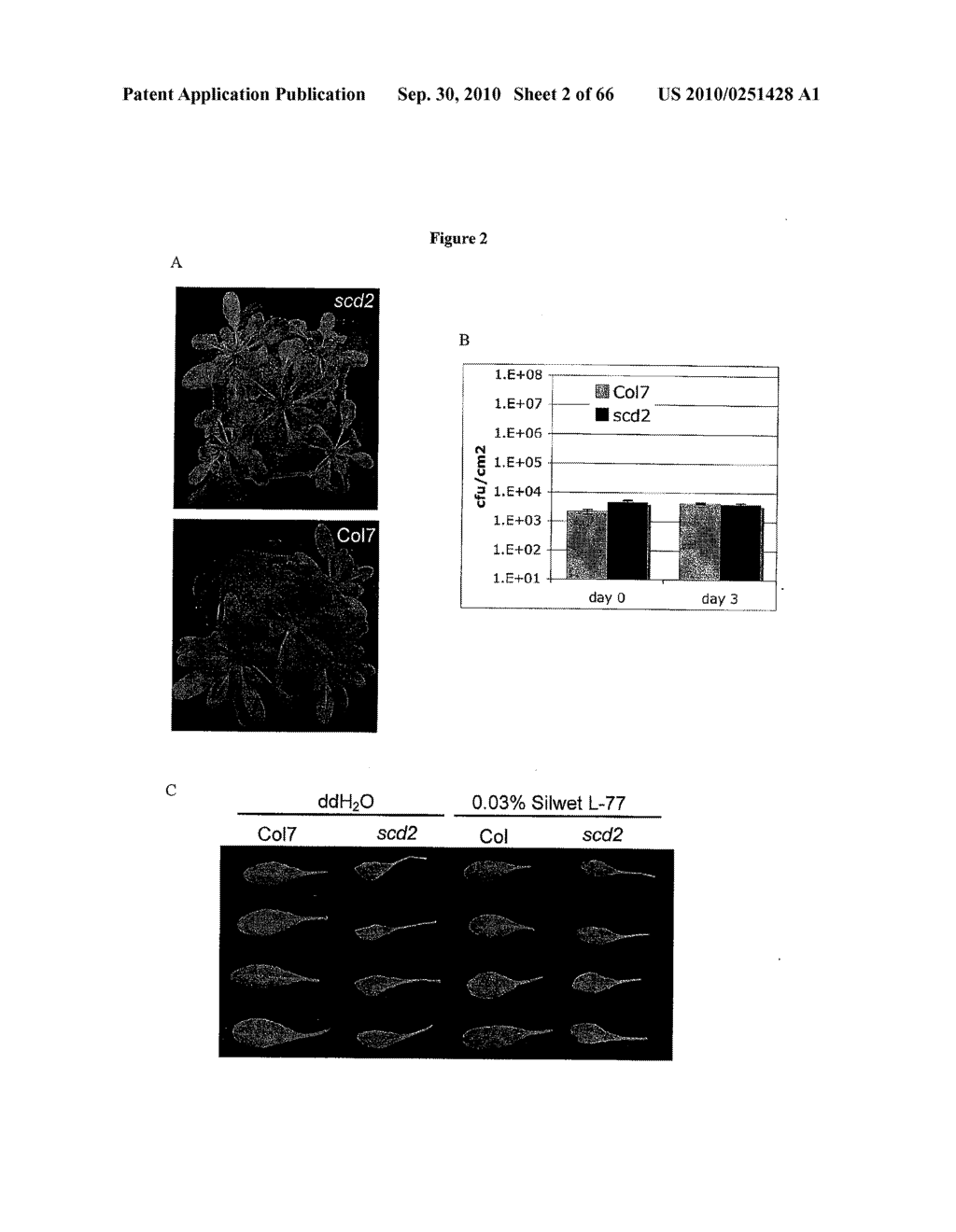 Compositions And Methods For Conversion Of Aldehydes To Alkanes - diagram, schematic, and image 03