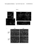 Compositions And Methods For Conversion Of Aldehydes To Alkanes diagram and image