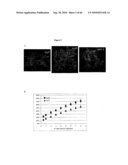 Compositions And Methods For Conversion Of Aldehydes To Alkanes diagram and image