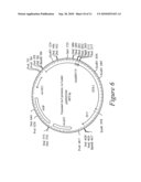 ARCELIN-5 PROMOTER AND USES THEREOF diagram and image