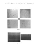 Large area, homogeneous array fabrication including leveling with use of bright spots diagram and image