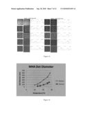 Large area, homogeneous array fabrication including leveling with use of bright spots diagram and image