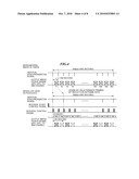 IMAGE PICKUP APPARATUS diagram and image