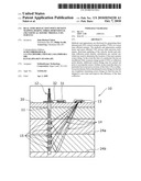 Real-Time Reflection Point Density Mapping During Three-Dimensional (3D) Vertical Seismic Profile (VSP) surveys diagram and image