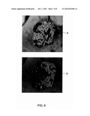 AUTOMATED METHOD FOR ASSESSMENT OF TUMOR RESPONSE TO THERAPY WITH MULTI-PARAMETRIC MRI diagram and image