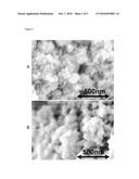 MULTIFUNCTIONAL PHOTOCATALYTIC PAINT COAT AND METHOD OF PREPARATION THEREOF diagram and image