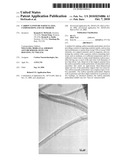 Carbon Nanotube Particulates, Compositions and Use Thereof diagram and image