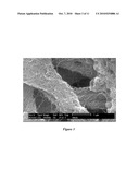 Carbon Nanotube Particulates, Compositions and Use Thereof diagram and image