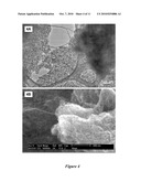 Carbon Nanotube Particulates, Compositions and Use Thereof diagram and image