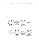 METHOD OF FORMING A PARTICULATE POROUS METAL OXIDE OR METALLOID OXIDE diagram and image