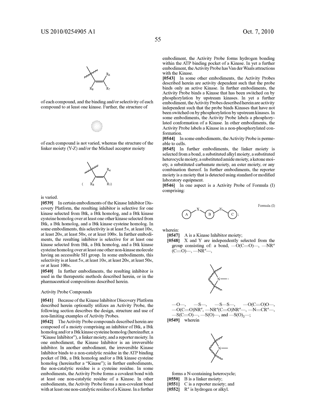 INHIBITORS OF BRUTON'S TYROSINE KINASE - diagram, schematic, and image 63
