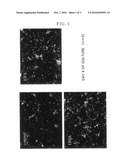 Nerve Regeneration Promoting Agent diagram and image