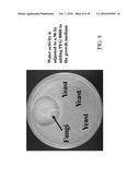 GROWTH MEDIA AND SAPROPHYTIC USE FOR PICHIA ANOMALA diagram and image