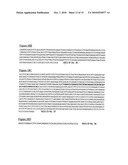 ENGINEERED ANTI-ALPHA V-INTEGRIN HYBRID ANTIBODIES diagram and image