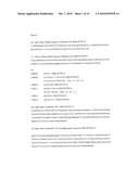 ANTIBODY MOLECULES HAVING SPECIFICITY FOR HUMAN OX40 diagram and image