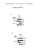 SYNERGISTIC TREATMENT OF CELLS THAT EXPRESS EPHA2 AND ERBB2 diagram and image