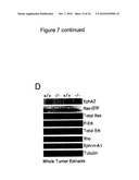 SYNERGISTIC TREATMENT OF CELLS THAT EXPRESS EPHA2 AND ERBB2 diagram and image