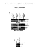 SYNERGISTIC TREATMENT OF CELLS THAT EXPRESS EPHA2 AND ERBB2 diagram and image