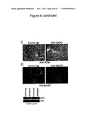 SYNERGISTIC TREATMENT OF CELLS THAT EXPRESS EPHA2 AND ERBB2 diagram and image