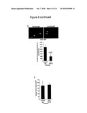 SYNERGISTIC TREATMENT OF CELLS THAT EXPRESS EPHA2 AND ERBB2 diagram and image