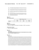 NOVEL SEQUENCES OF HAEMONCHUS CONTORTUS, IMMUNOGENIC COMPOSITIONS, METHODS FOR PREPARATION AND USE THEREOF diagram and image