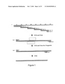 PURIFIED POLYPEPTIDE COMPRISING OR CONSISTING OF A C-TERMINUS MSP1 ANTIGEN FROM PLASMODIUM FALCIPARUM CARRYING A GLYCOSYL-PHOSPHATIDYL-INOSITOL GROUP (GPI) diagram and image