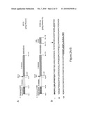 PURIFIED POLYPEPTIDE COMPRISING OR CONSISTING OF A C-TERMINUS MSP1 ANTIGEN FROM PLASMODIUM FALCIPARUM CARRYING A GLYCOSYL-PHOSPHATIDYL-INOSITOL GROUP (GPI) diagram and image