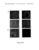 PURIFIED POLYPEPTIDE COMPRISING OR CONSISTING OF A C-TERMINUS MSP1 ANTIGEN FROM PLASMODIUM FALCIPARUM CARRYING A GLYCOSYL-PHOSPHATIDYL-INOSITOL GROUP (GPI) diagram and image